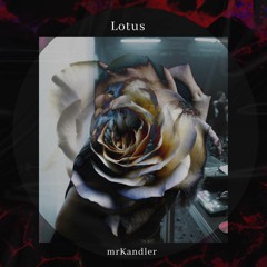 Lotus - Free Download