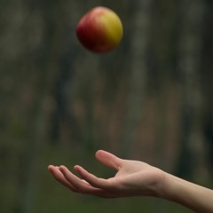 Dźwiedziu - Ląd (prod. Saga G)