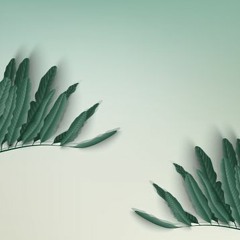 zz