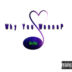 Why You Wanna
