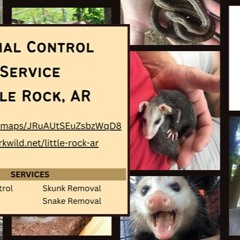 Animal Control Service Little Rock, AR