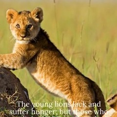 #! The young lions lack and suffer hunger; but those who seek the LORD shall not lack any good