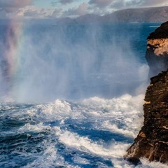 Emergence / Grand Finale