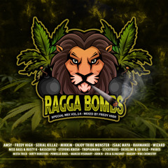 RAGGA BOMBS - Special Mix Vol.14 (Mixed By Fredy High)