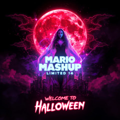 MARIO MASHUP - Limited 14 (2025) HLW