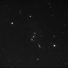 Orion