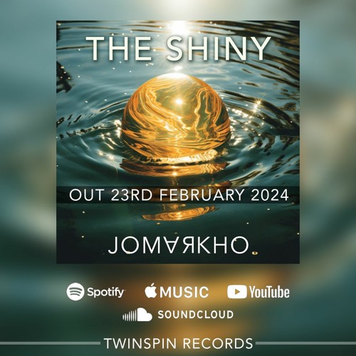 The Shiny (Out now on Twinspin Records)