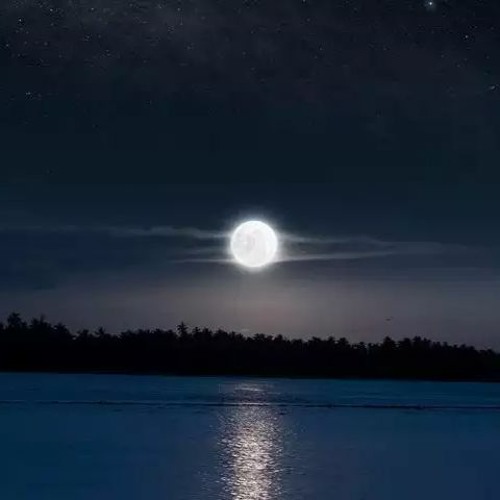 Moonlight (2023)