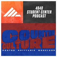 Counter Culture (Part 2)