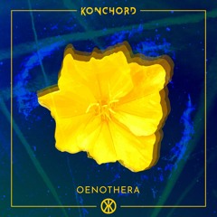 Oenothera