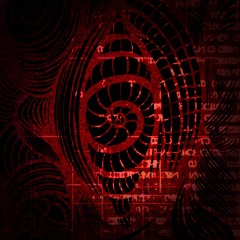 FIRST CONTACT - BENDER & 1FAM