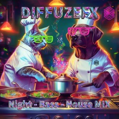 Night-Bass-House MIX - DIFFUZEFX