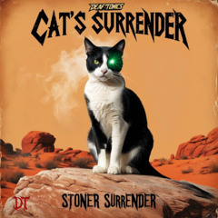 Cat's Surrender