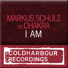 I Am (Mat Zo Remix)