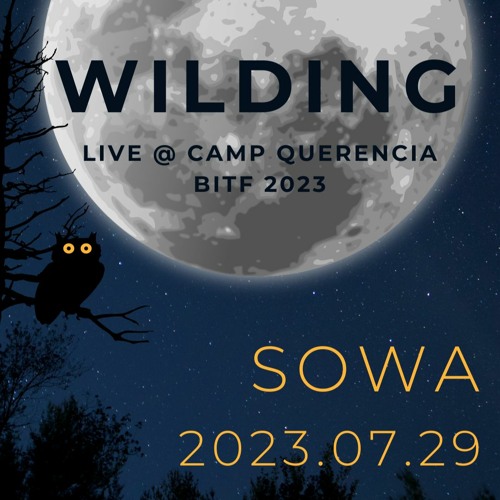 Wilding - Live @ Camp Querencia at BitF 2023.07.29