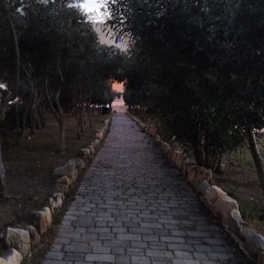 The Silent Interlude