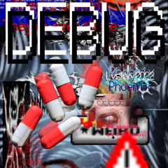 Lvskyy2022 x Phoenix - DEBUG