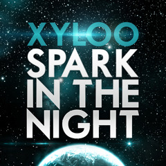 Spark in the Night (Steve Modana Mix Edit)
