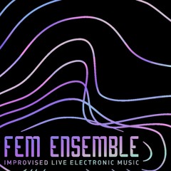 FEM ENSEMBLE