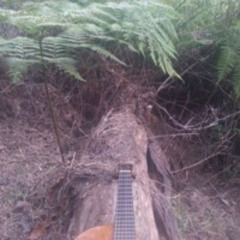 Under A Blanket Of Clouds (gtr.)