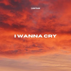 I Wanna Cry (Original Mix)