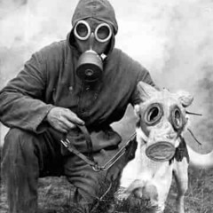 smog