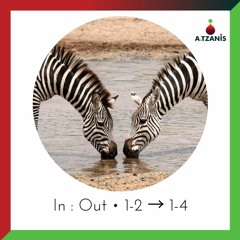 Improve Your In : Out ratio [ 1-2 To 1-4 ]