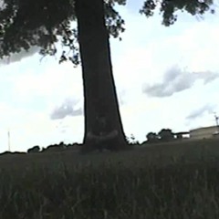 Medicated Meditation