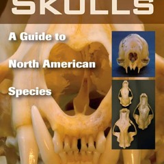 ❤Book⚡[PDF]✔ Animal Skulls: A Guide to North American Species
