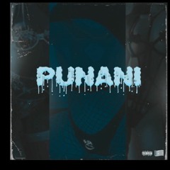 "Punani"- feat. Papi Shmoove