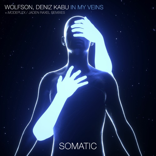 Wolfson & Deniz Kabu - In My Veins (Jaden Raxel Remix)