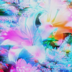 Shyntwirl - Bloom