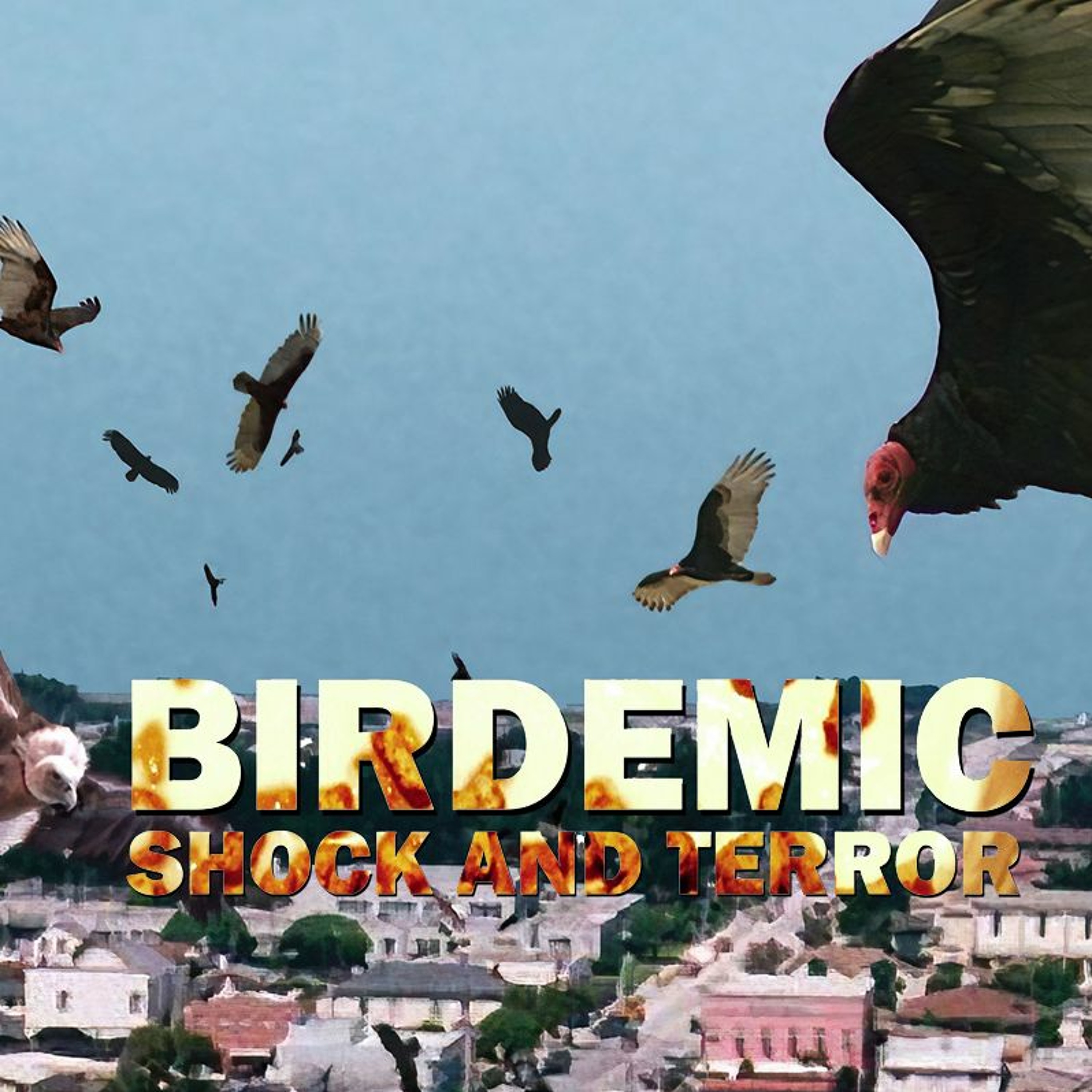 Birdemic: Shock and Terror (2010) - Spoilers! #481