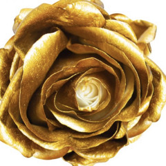 CeezLeone -Gold roses Freestyle RAW