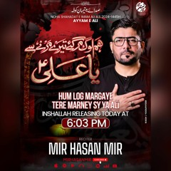 Hum log margaye | Mir Hasan Mir New Noha | 21 Ramzan 2024