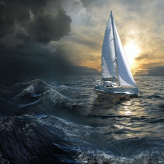 Calm in the midst of the Storm