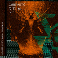 Halt - Cybernetic Ritual