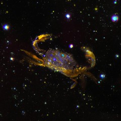 Nebular Crabe XTC Redge 23H23