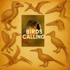 Birds Calling...