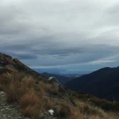 Flattie Paparoa [demo]