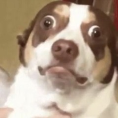 NixMix Exclusive Mix for Push The Button