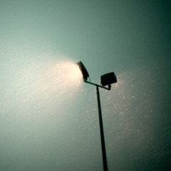 Tamborine  "From 2010"