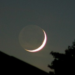 Luna Waning