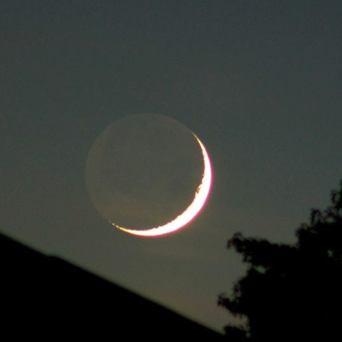 Luna Waning