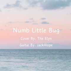 Numb Little Bug