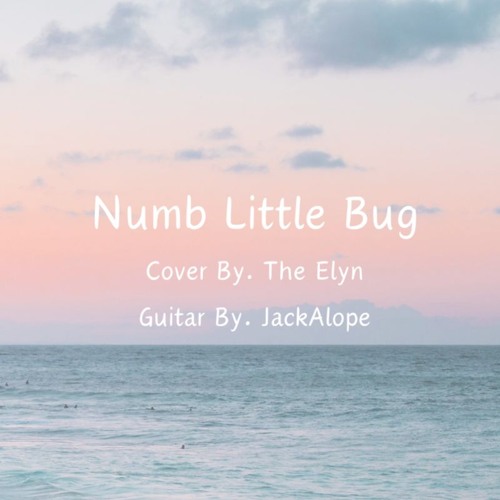 Numb Little Bug
