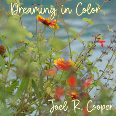 Dreaming in Color