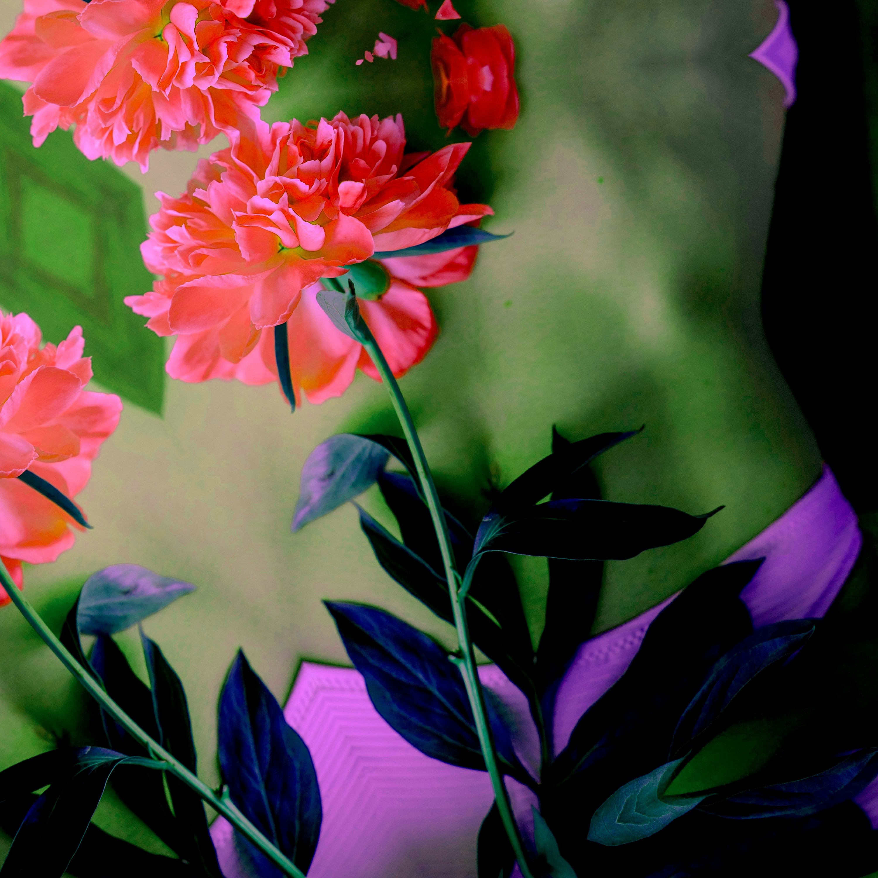 JEAN MOTELL PRESENTS \