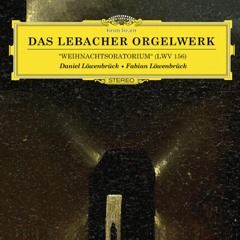 Daniel & Fabian Löwenbrück - Das Lebacher Orgelwerk (Excerpt)