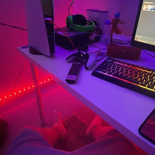 Trakka - bad b fling it arch it .m4a